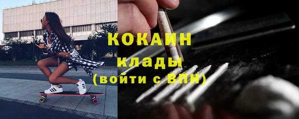 индика Верея