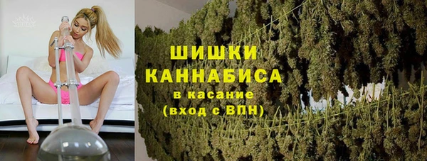 шишки Бронницы