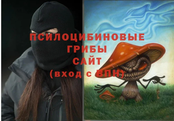 гидропоника Строитель