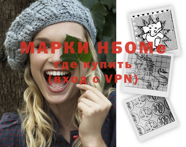 индика Верея