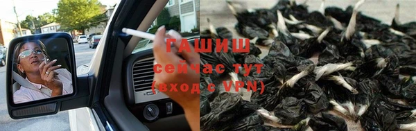 шишки Бронницы
