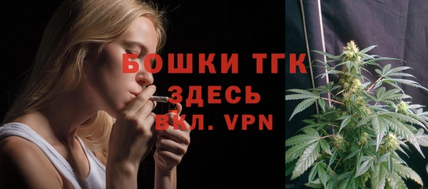 шишки Бронницы